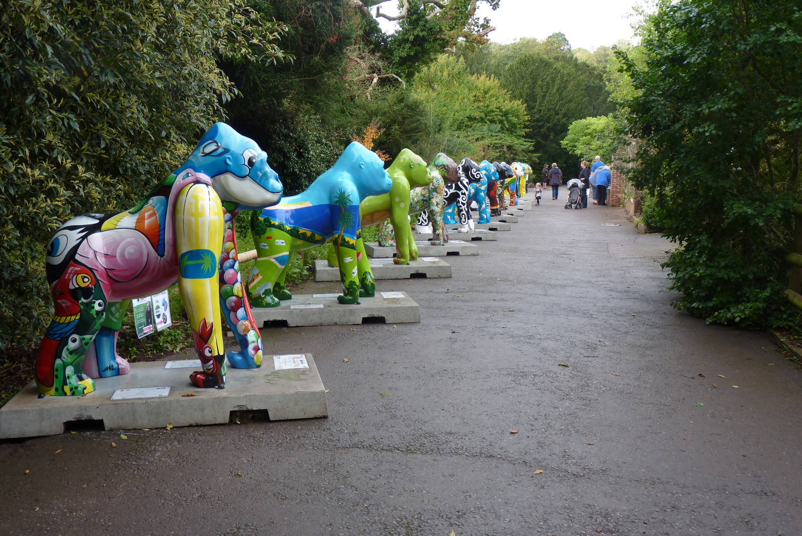 The Great Gorillas come home, 18 October 2013