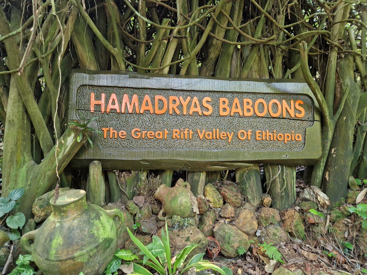 The Great Riff Valley of Ethiopia entrance