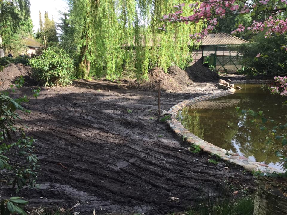 The Greater flamingos old enclosure, under construction.