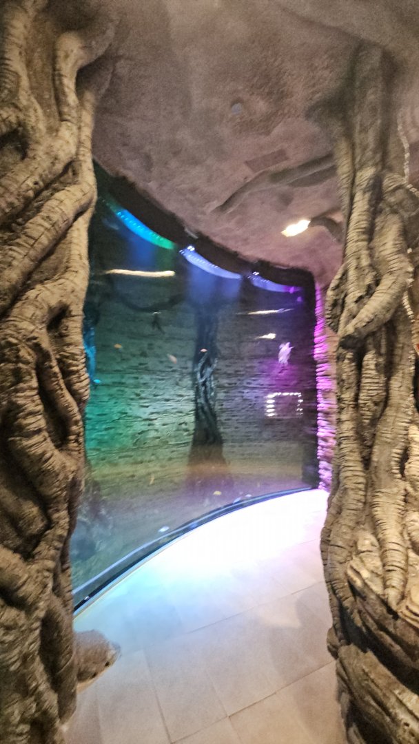 The green planet Dubai