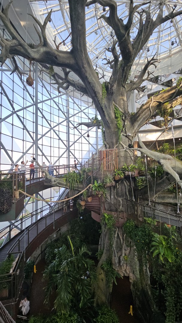 The green planet Dubai