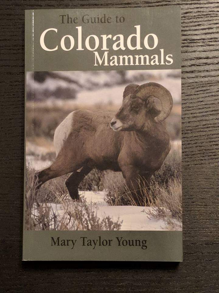The Guide to Colorado Mammals