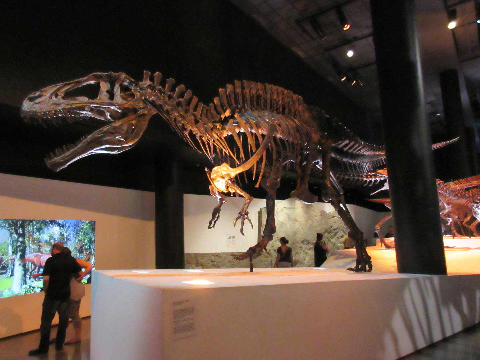 The Hall of Paleontology - Acrocanthosaurus