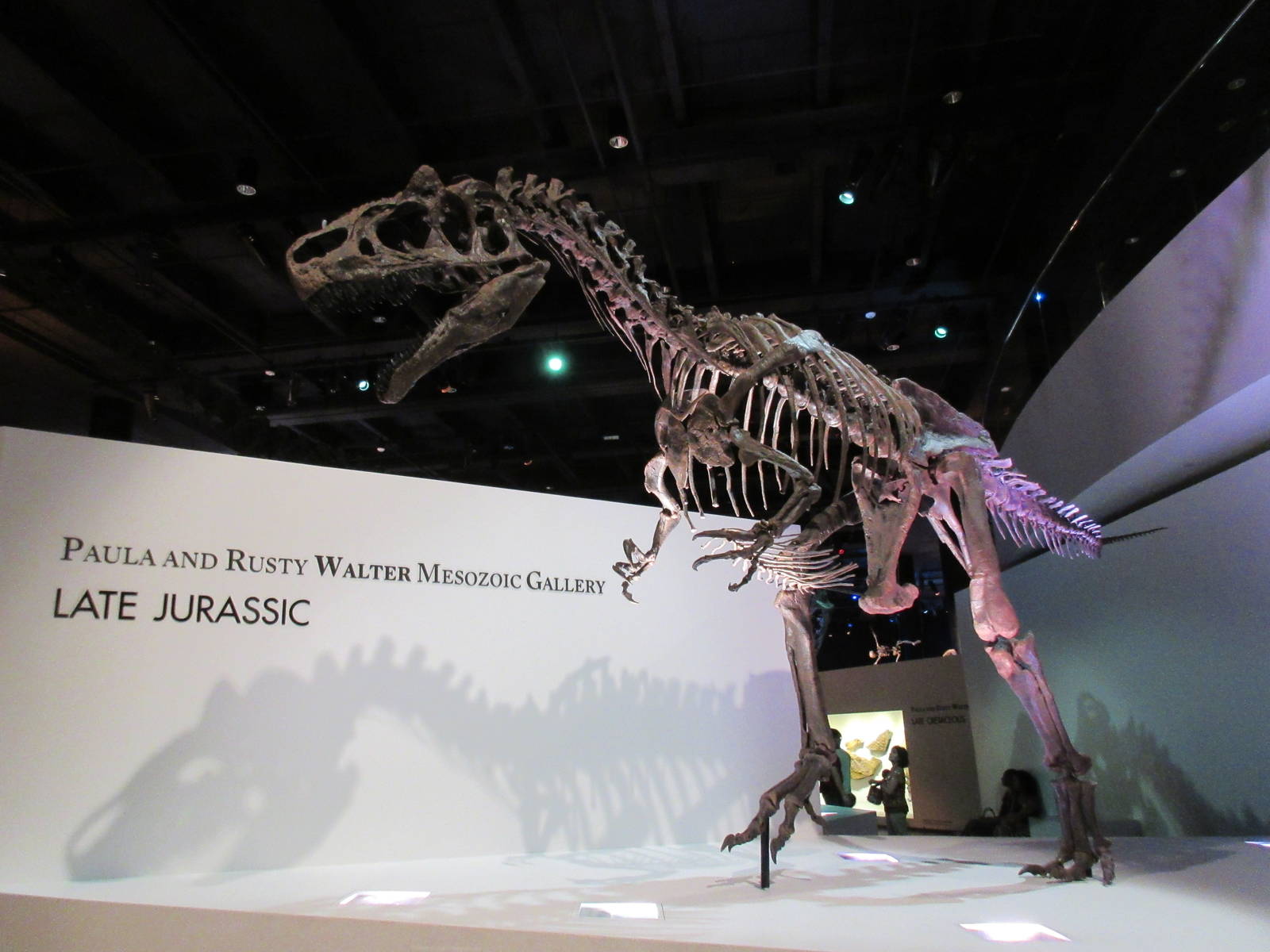 The Hall of Paleontology - Allosaurus