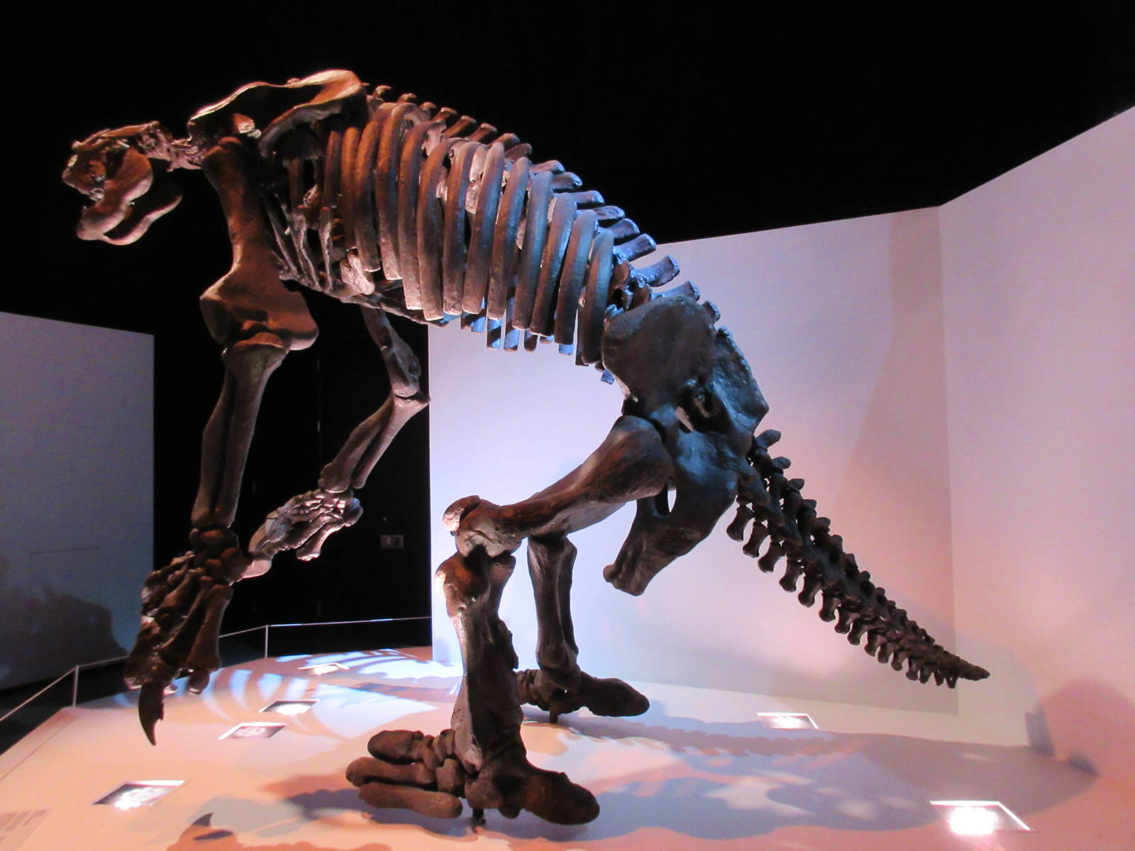 The Hall of Paleontology - Eremotherium