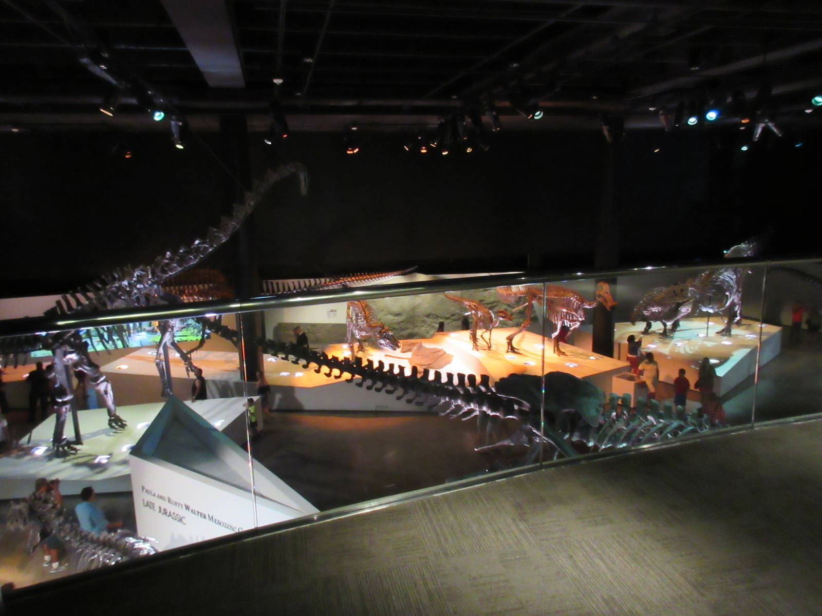 The Hall of Paleontology - from overlook deck