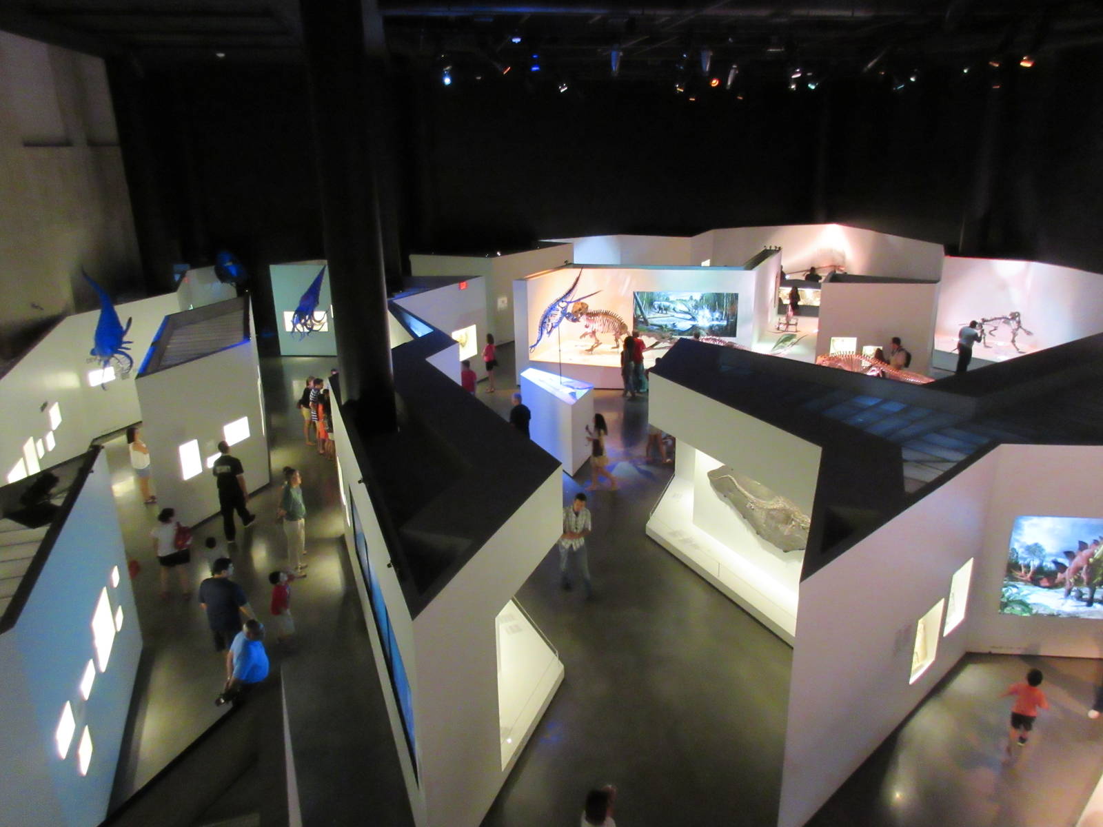The Hall of Paleontology - from overlook deck