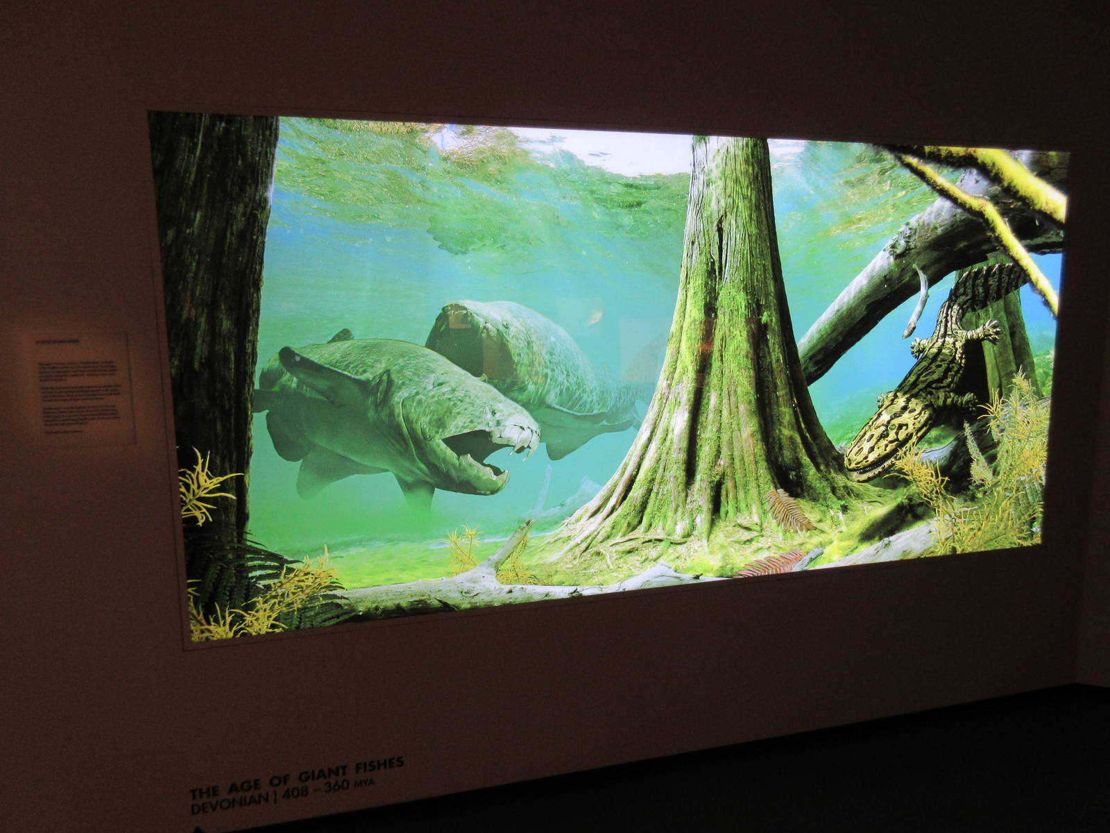 The Hall of Paleontology - The Age of Giant Fishes