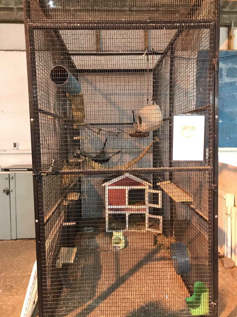 The hatchery- chinchilla enclosure