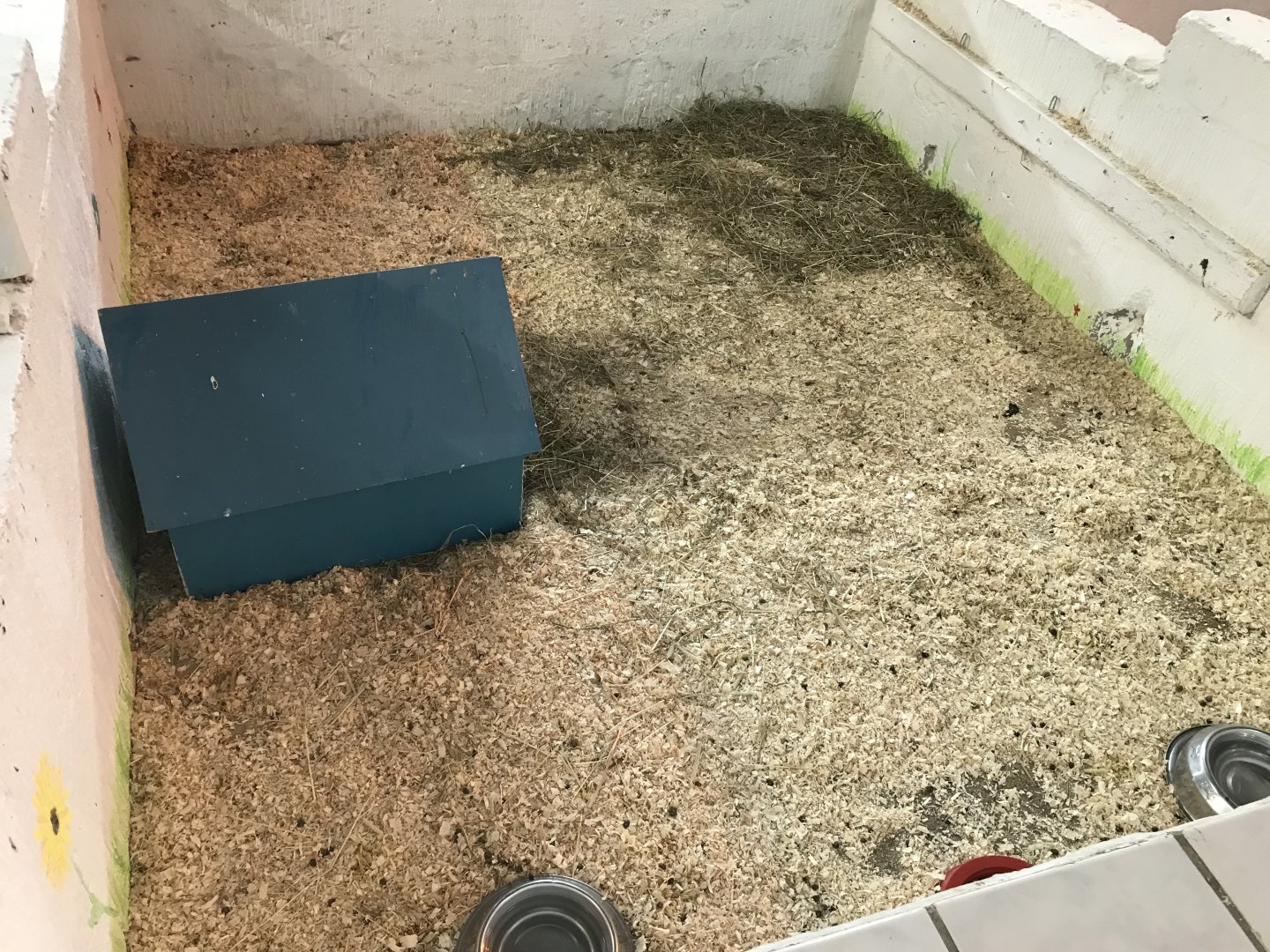 The hatchery- fourth guniea pig enclosure