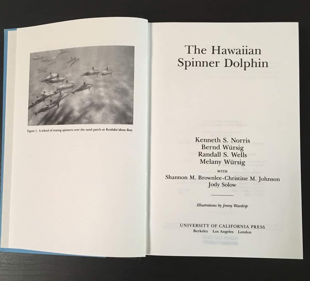 The Hawaiian Spinner Dolphin
