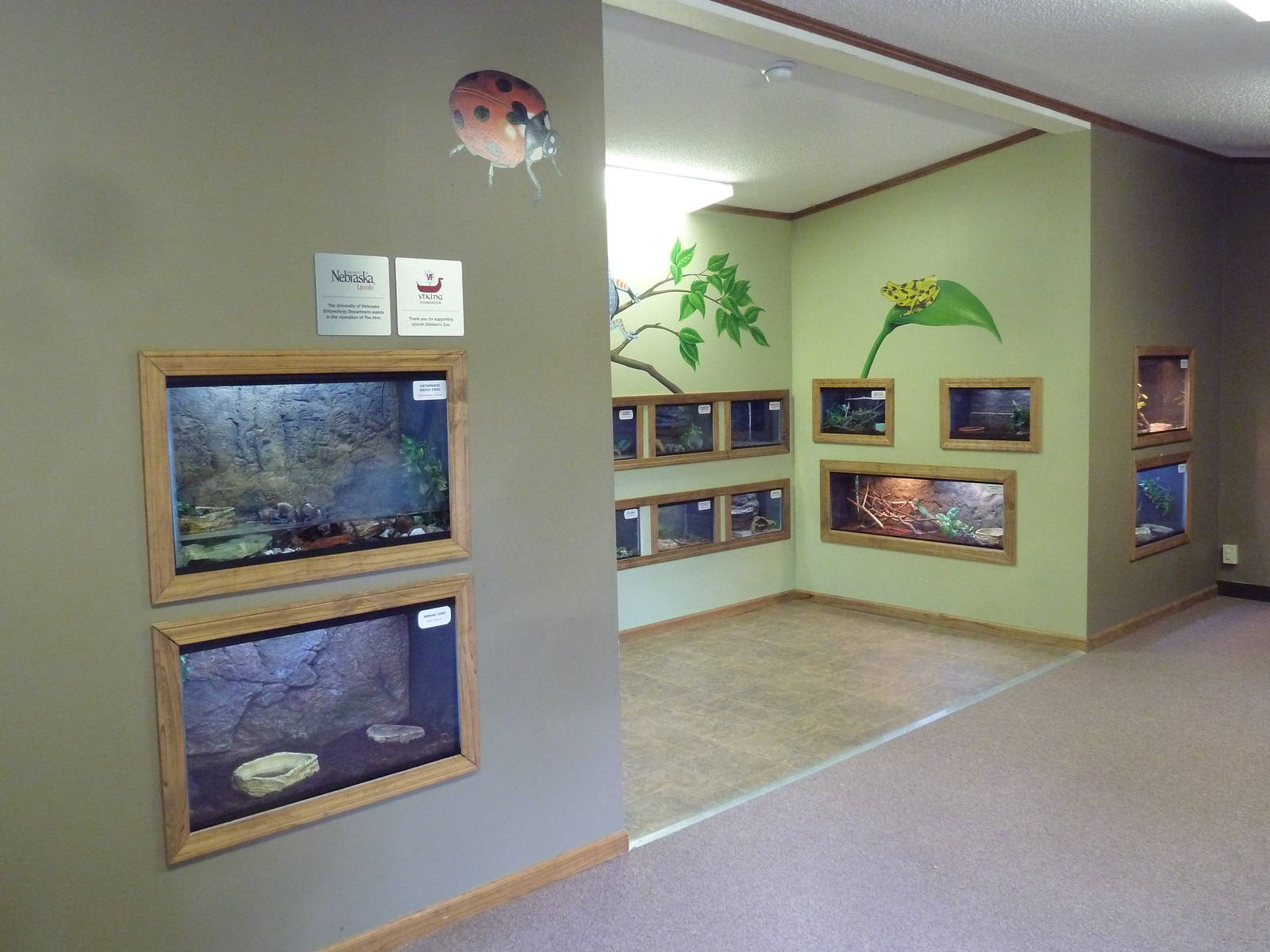 The Hive - Insect + Reptile House