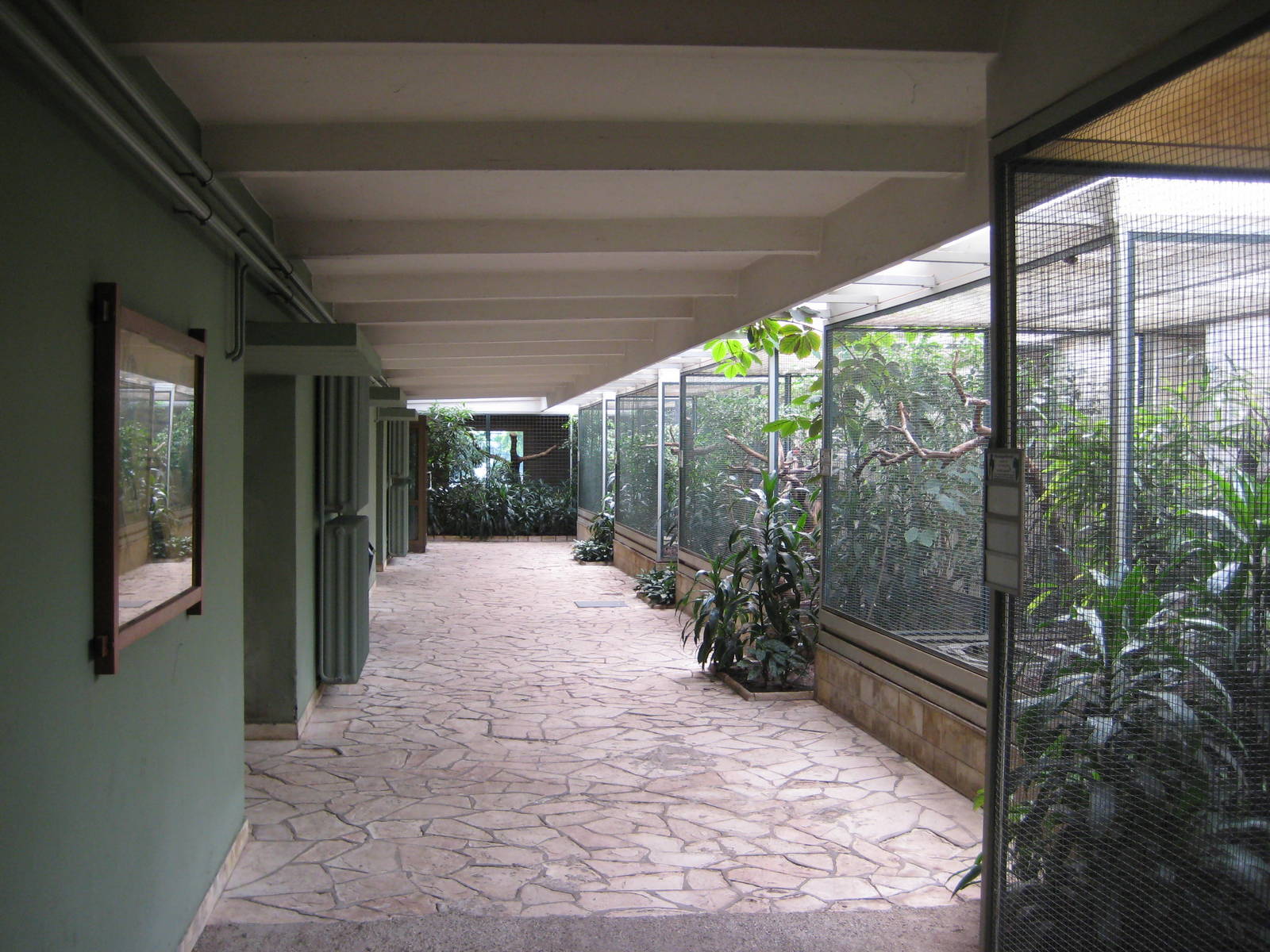 The Hornbill Section