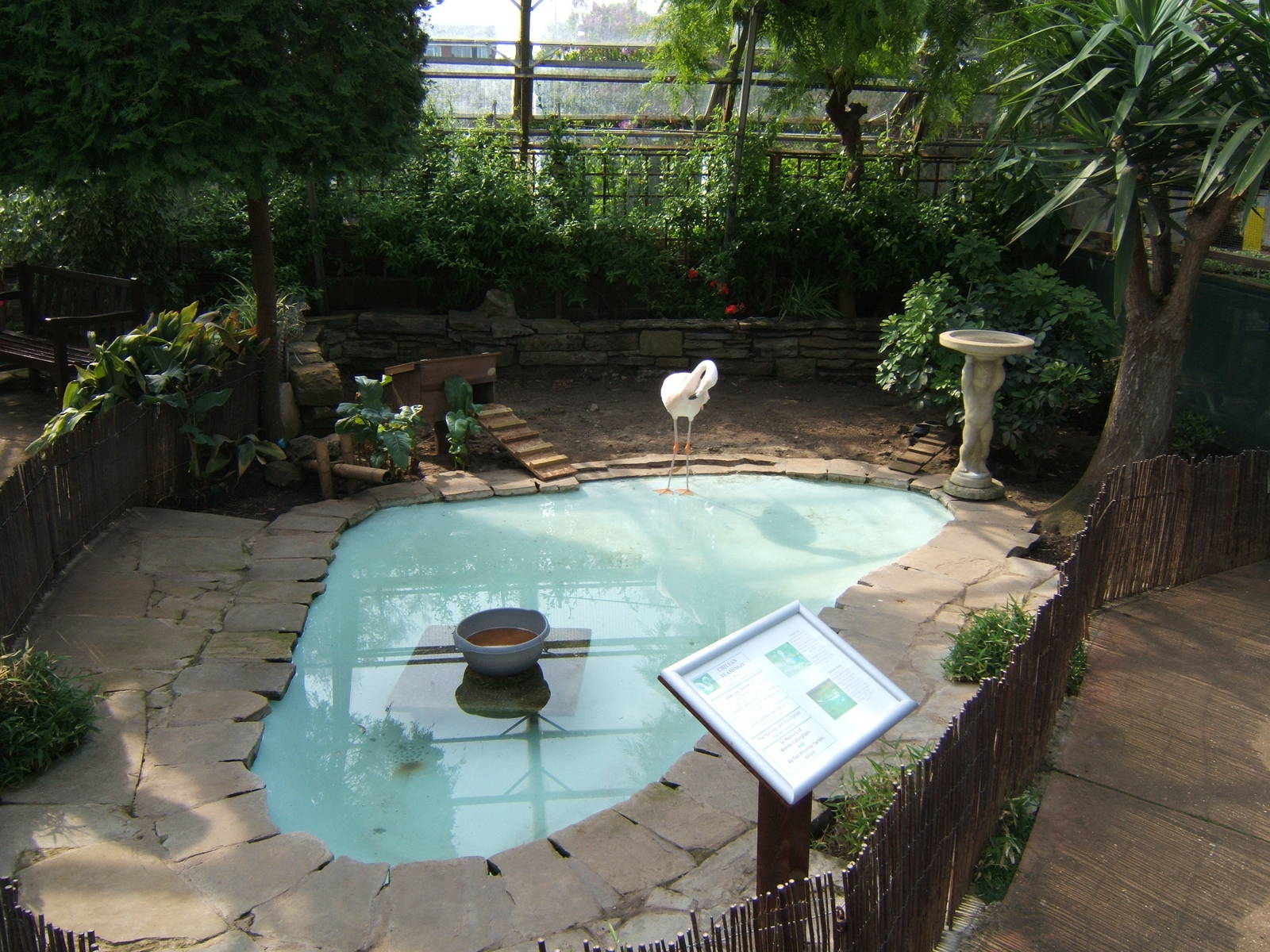 The indoor Flamingo Pool