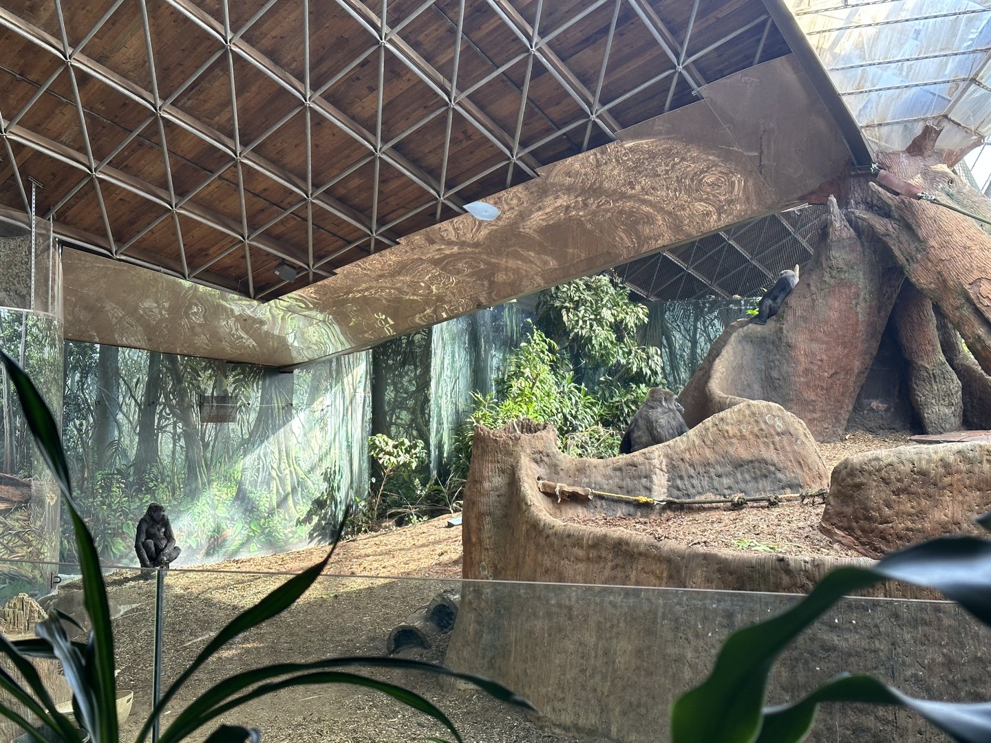 The Indoor Gorilla Exhibit