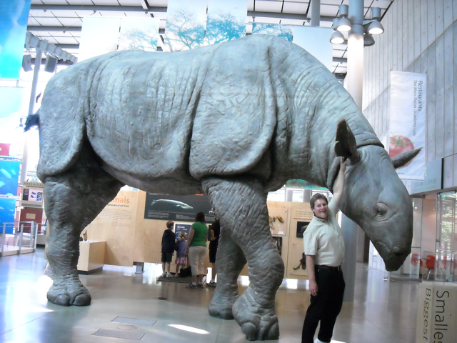 The Indricotherium and I