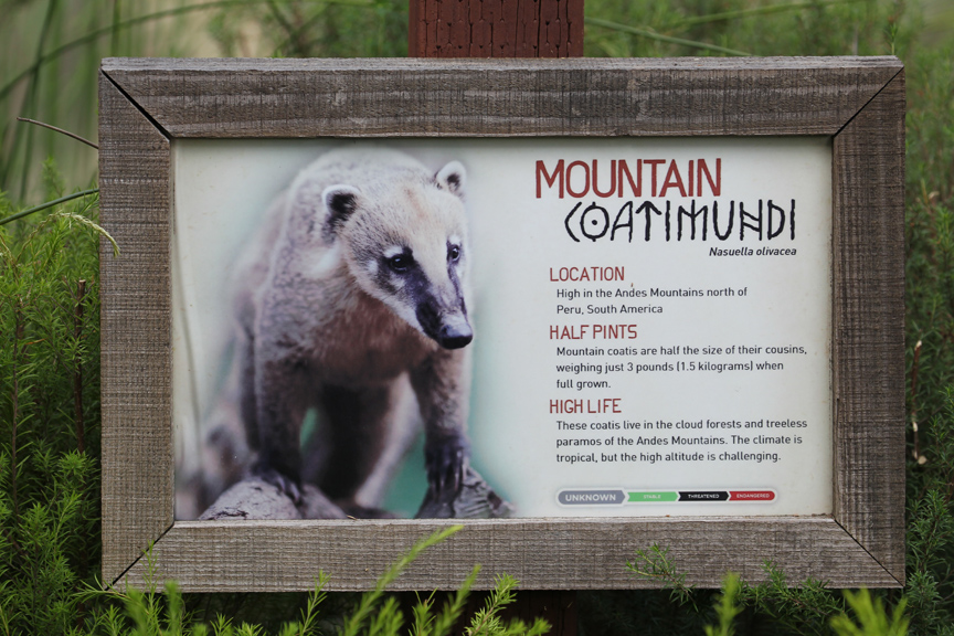 The infamous incorrect sign