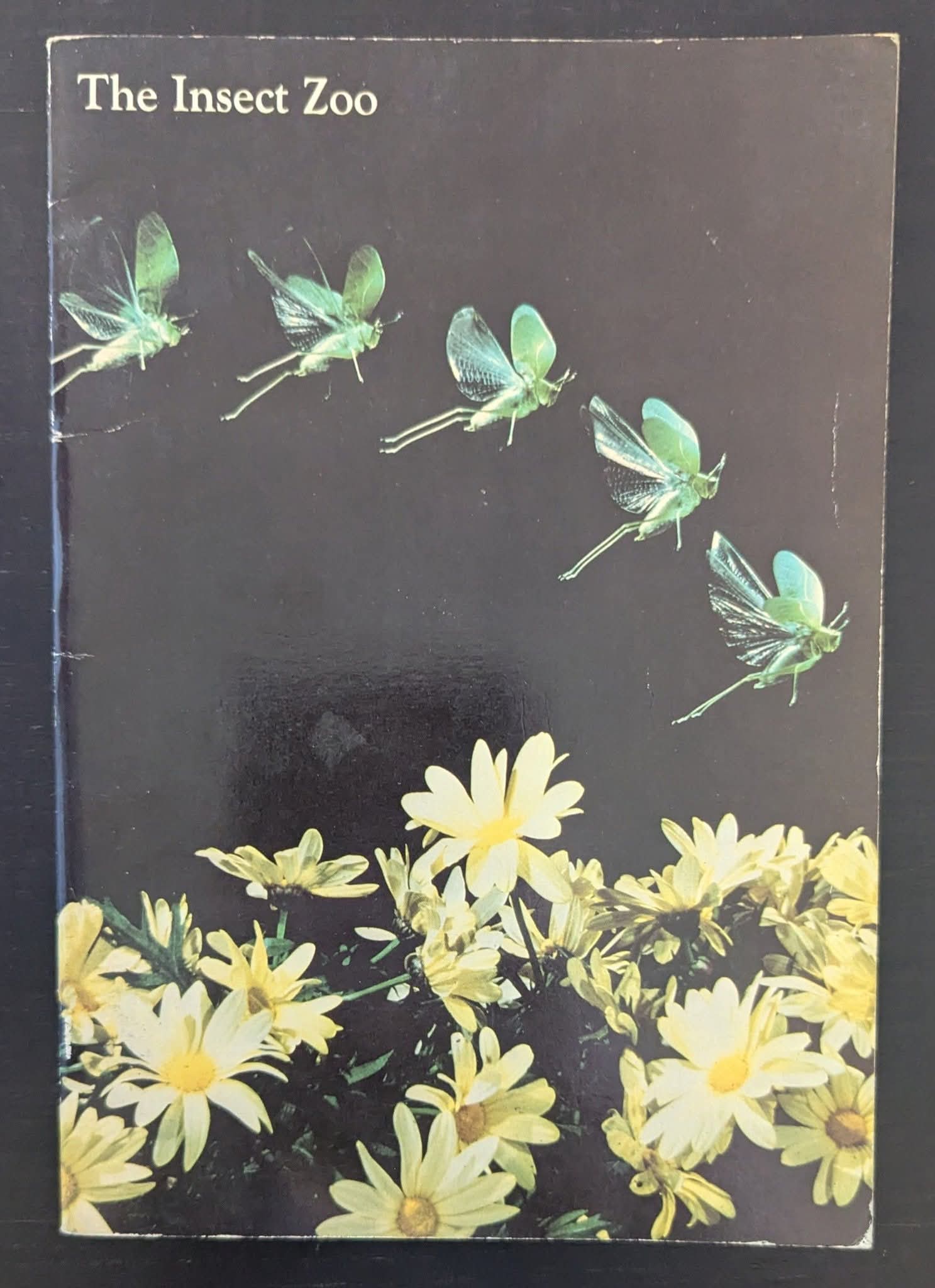 The Insect: An exhibit at the National Museum of Natural History, Smithsonian Institution.