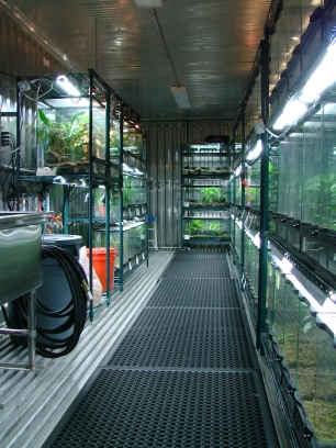The inside of the frog Pod at Atlanta Botanic Gardens
