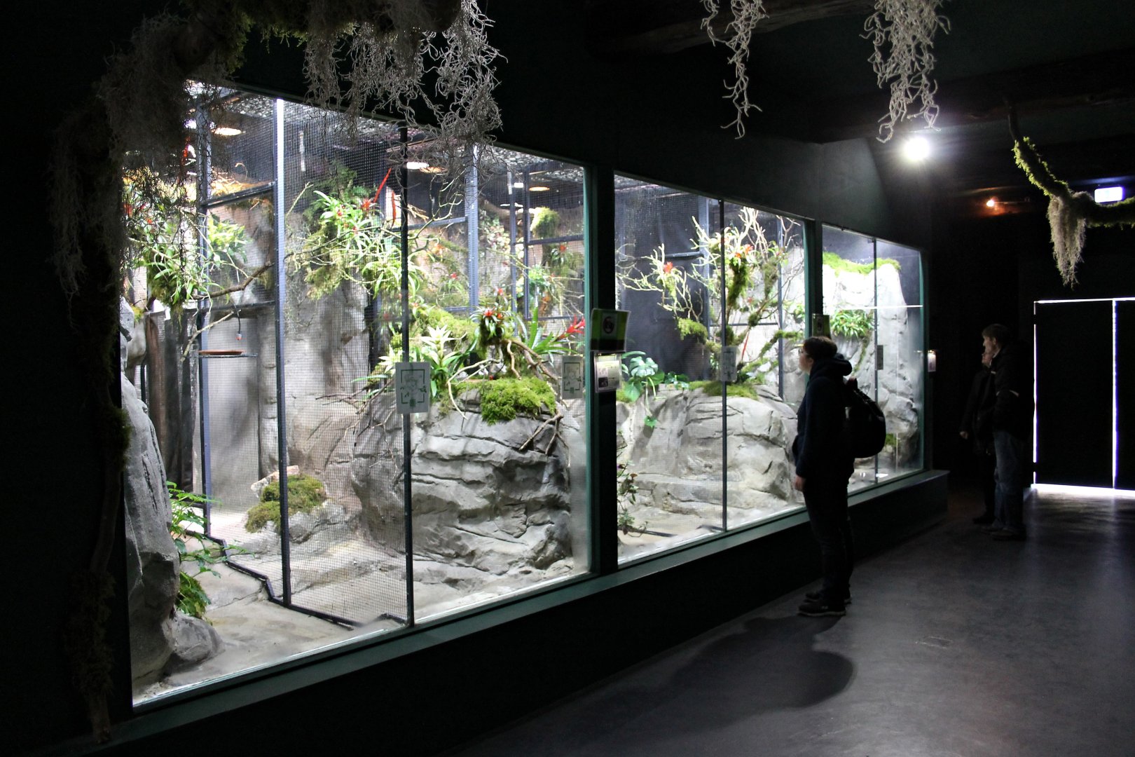 The inside of the Hummingbird house. (24/3-19)