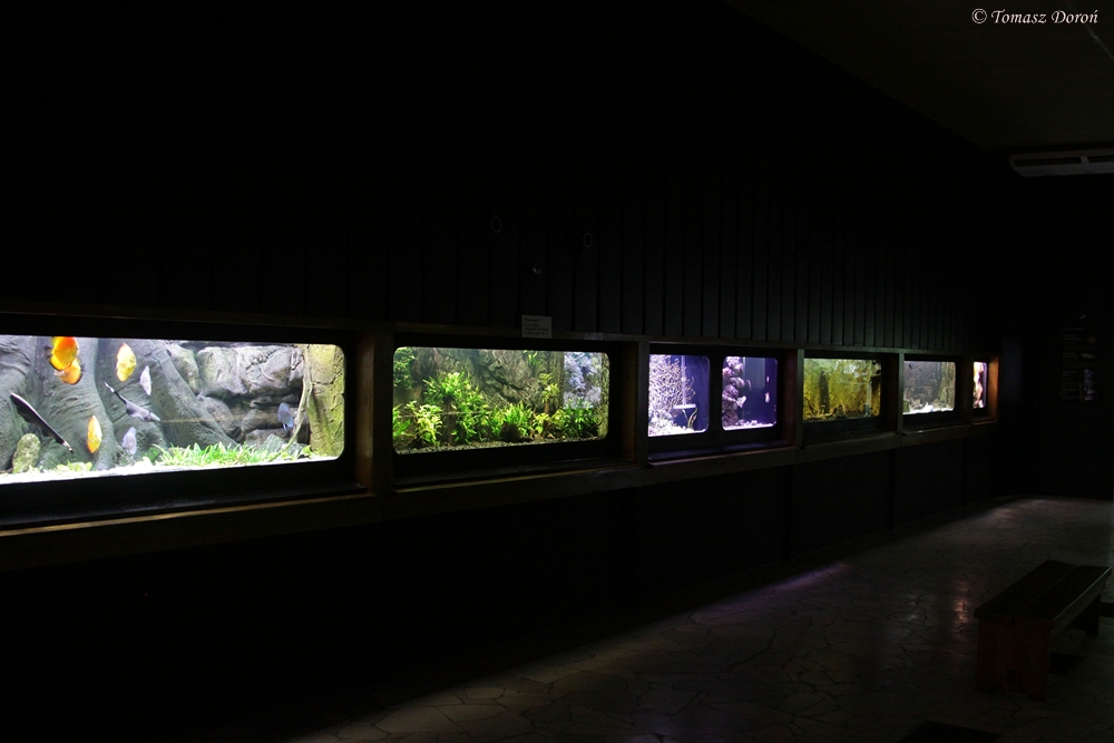 The interior of the aquarium building