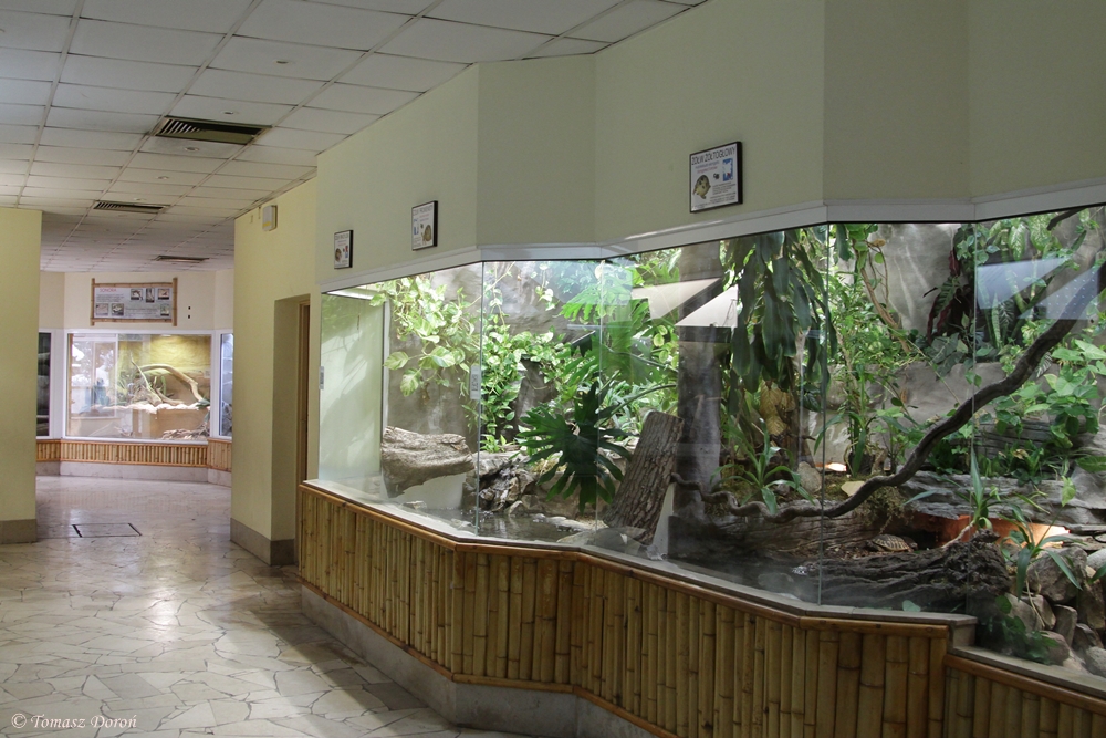 The interior of the reptiles pavilion
