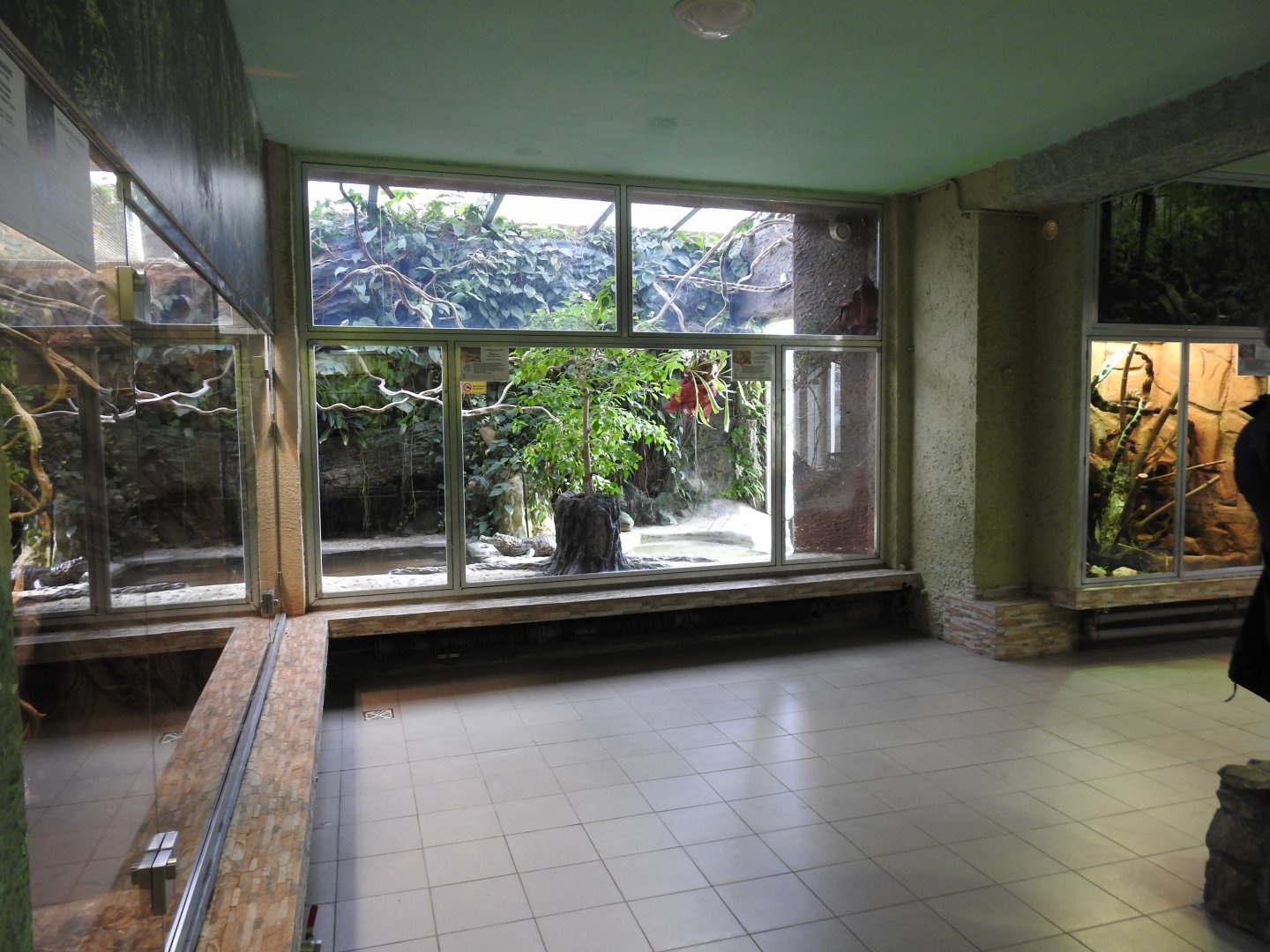 The interior of the terrarium