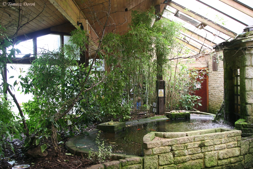 The interior of the tropical house - june 2013