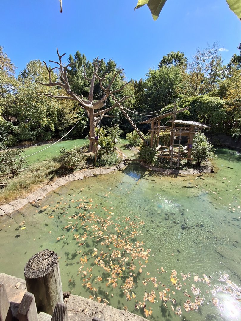 The Islands- Gibbon Island