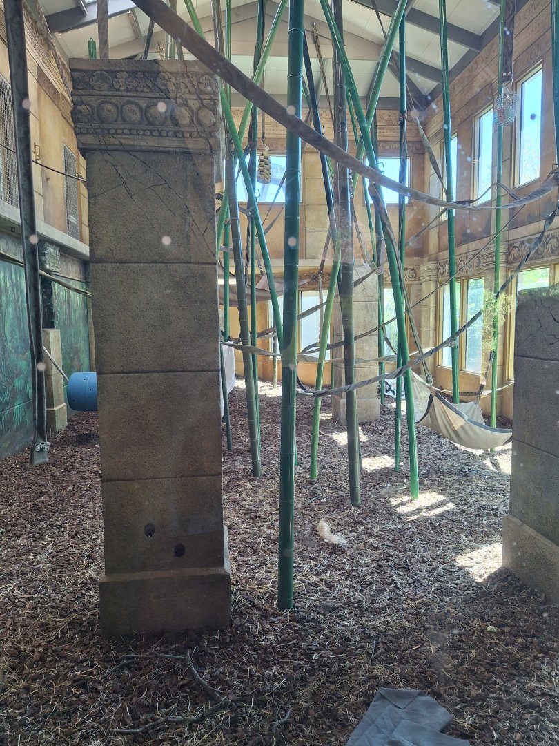 The Islands- Indoor Orangutan Exhibit