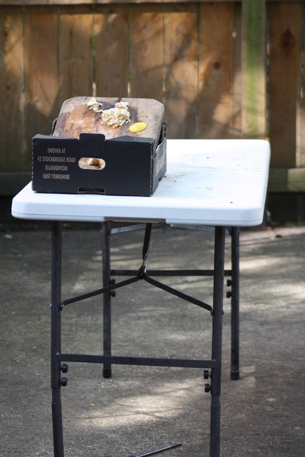 The kebab making event has concluded, 24th August 2014