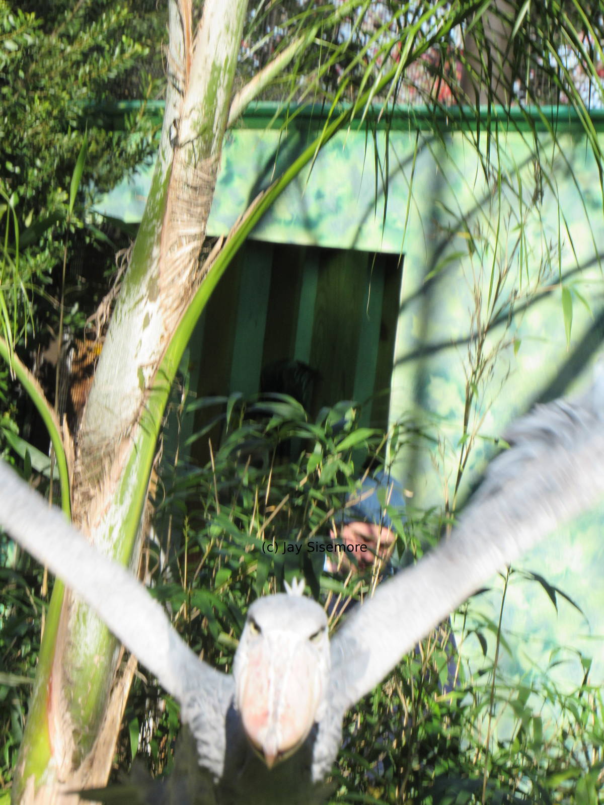 The Keepers are Coming!