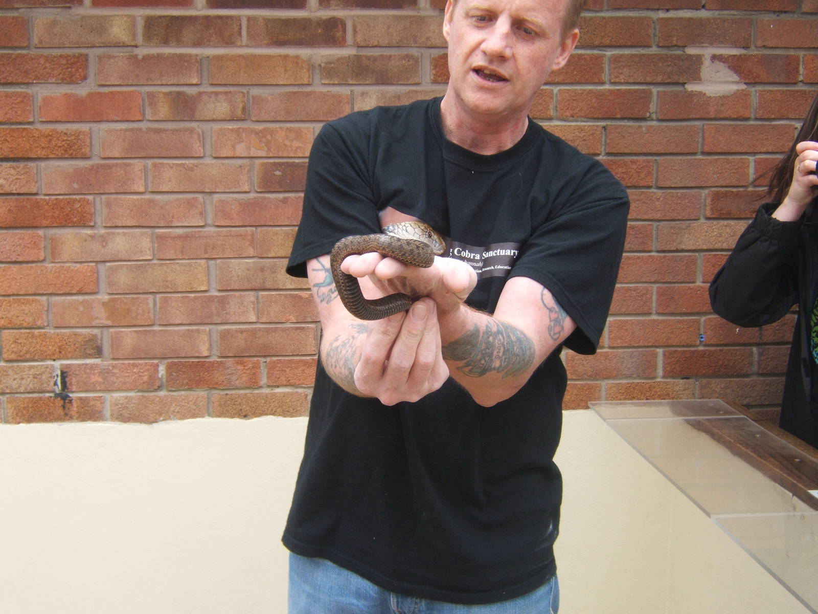 The King Cobra Sanctuary