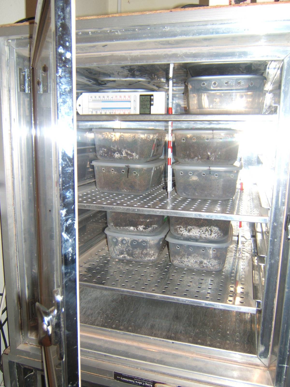 The King Cobra Sanctuary