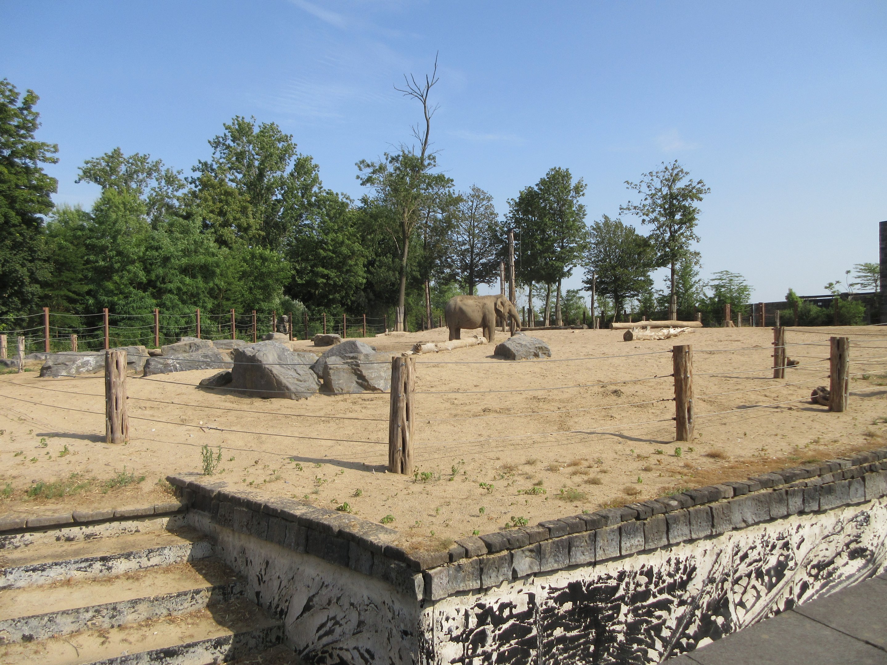 The Kingdom of Ganesha - Asian Elephant Exhibit #1