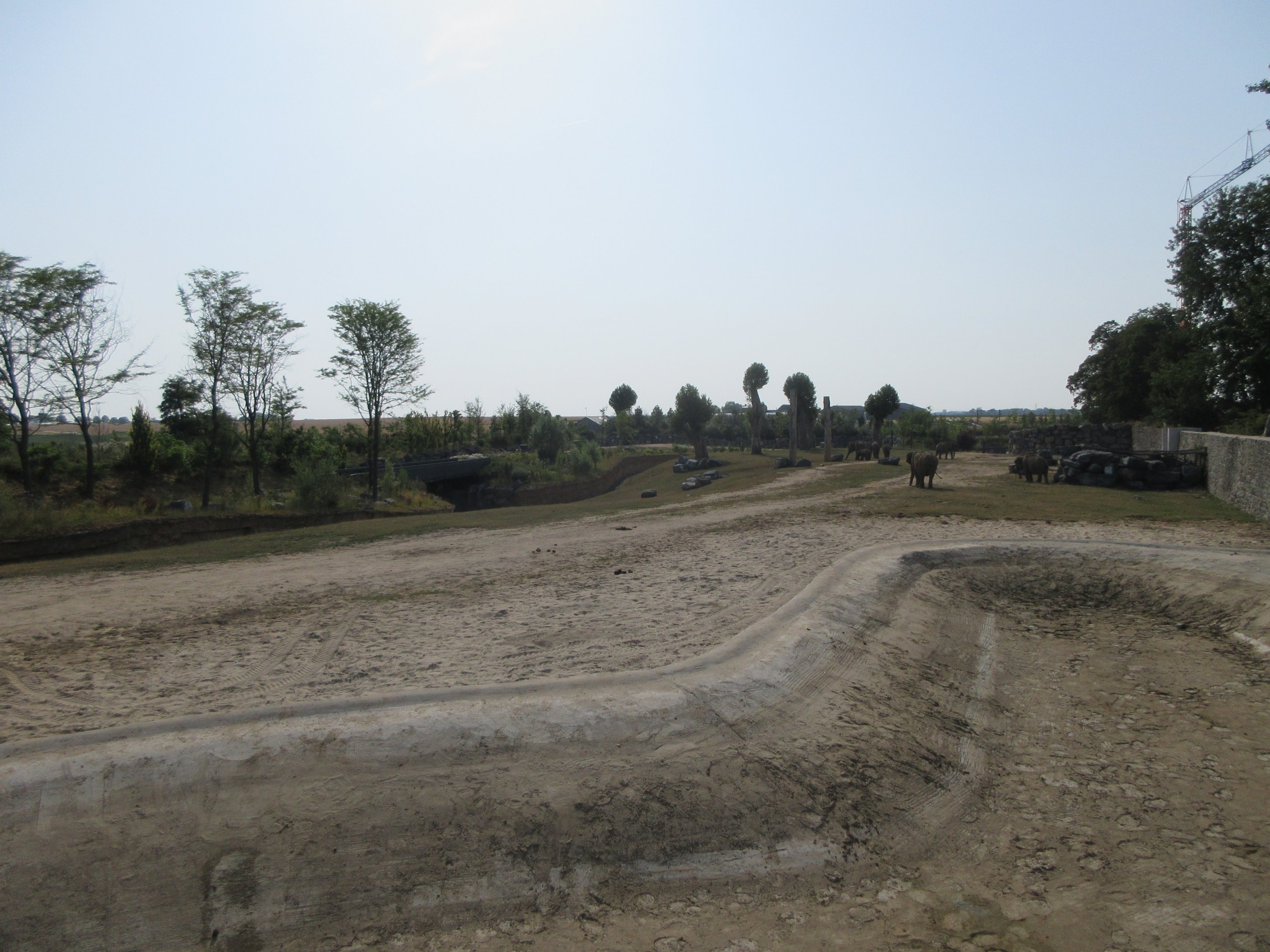 The Kingdom of Ganesha - Asian Elephant Exhibit #4