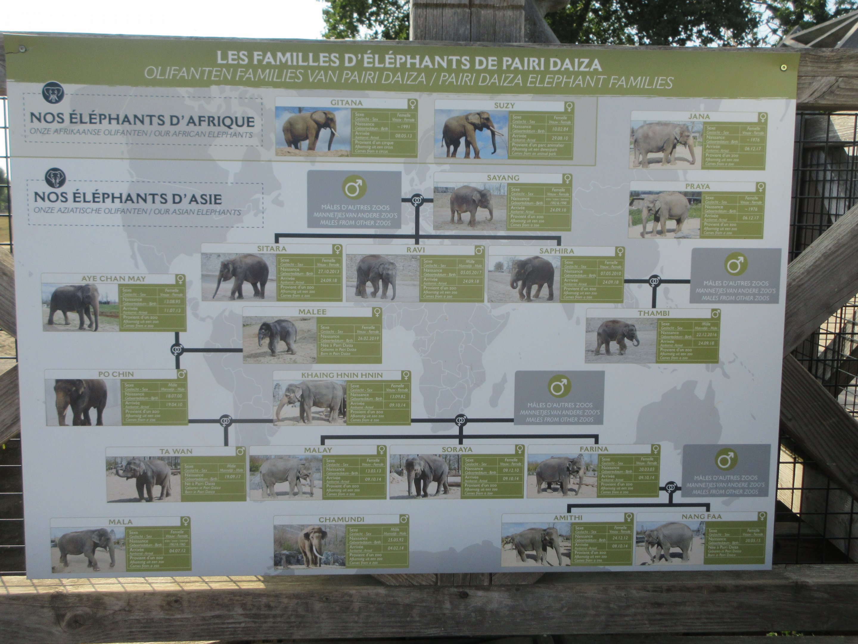 The Kingdom of Ganesha - Asian Elephant Sign