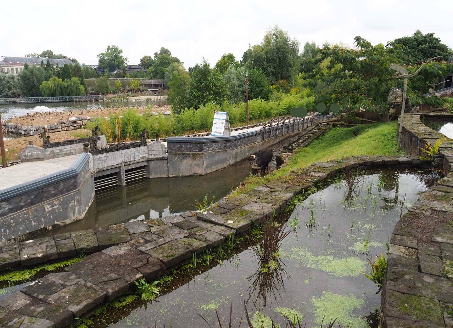 The Kingdom of Ganesha - Rice paddies, Water buffalo pool, Walkway and tunnel to new islands, 2022-09-15
