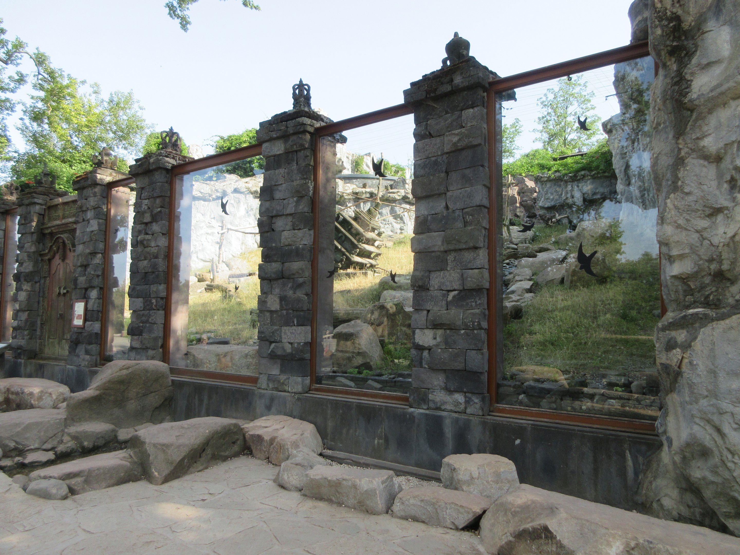 The Kingdom of Ganesha - Sulawesi Crested Macaque Exhibit
