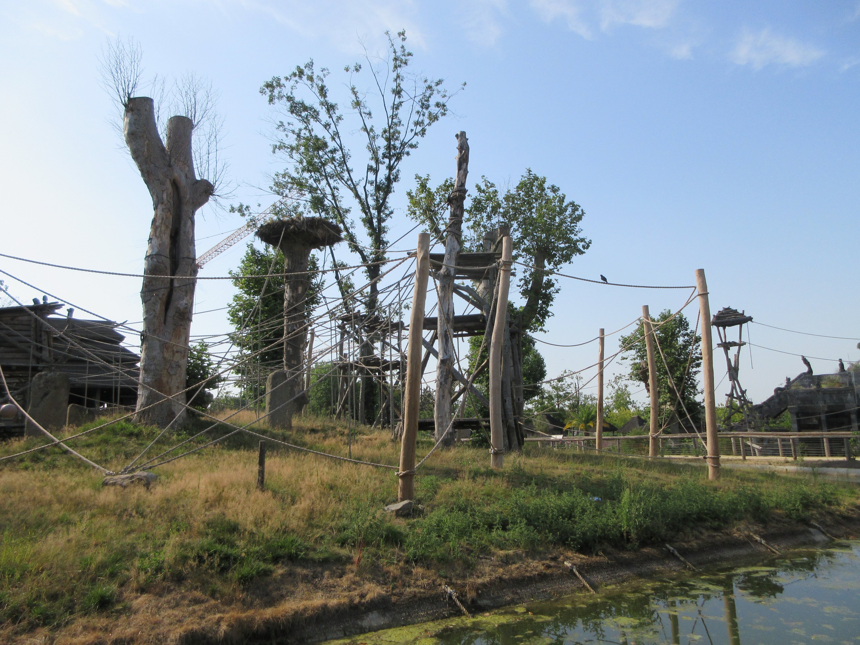 The Kingdom of Ganesha - Sumatran Orangutan Exhibit