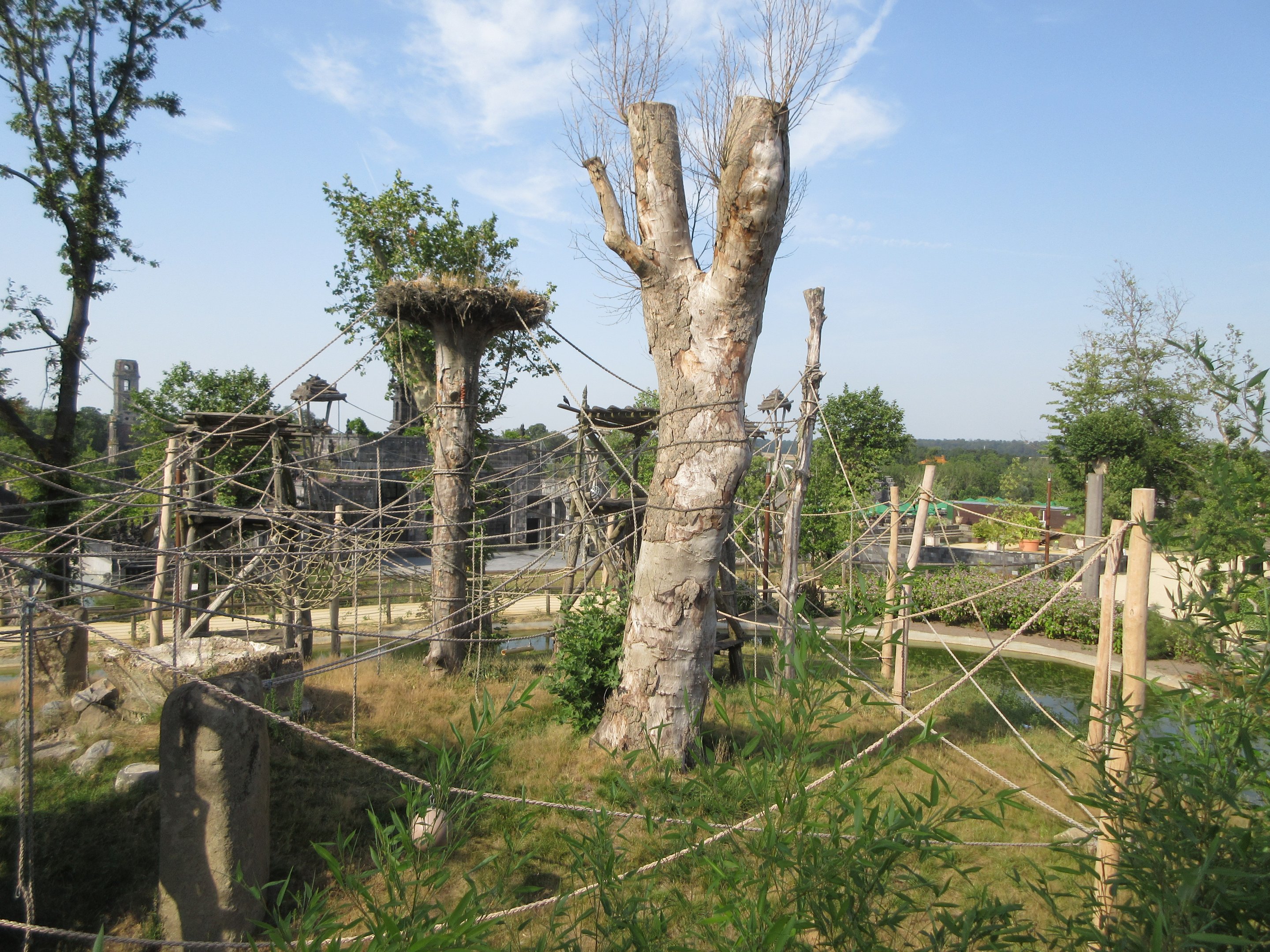The Kingdom of Ganesha - Sumatran Orangutan Exhibit