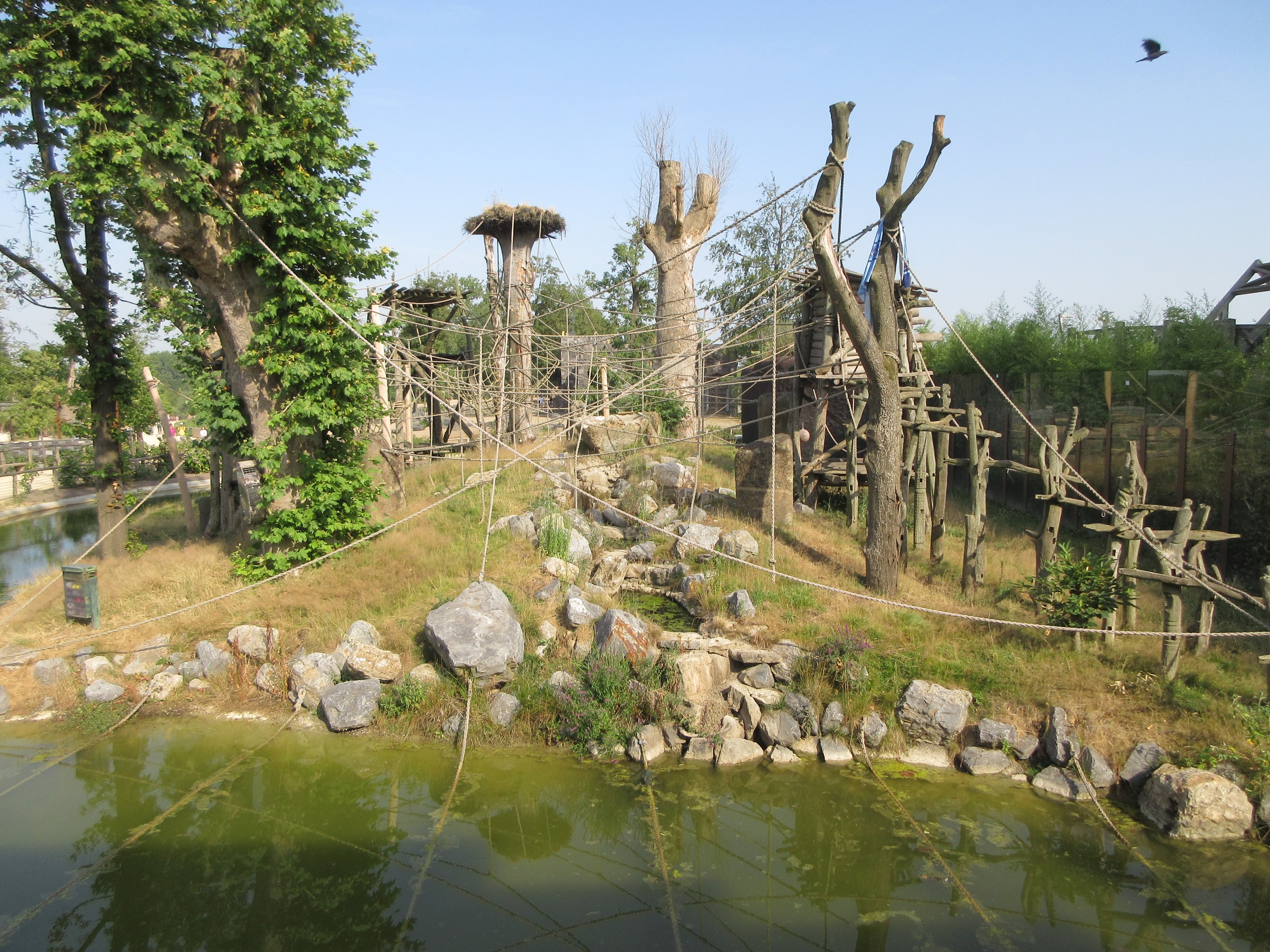 The Kingdom of Ganesha - Sumatran Orangutan Exhibit