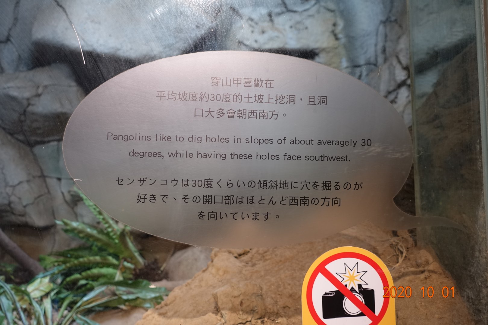 The knowledge of the cave that pangolins made.