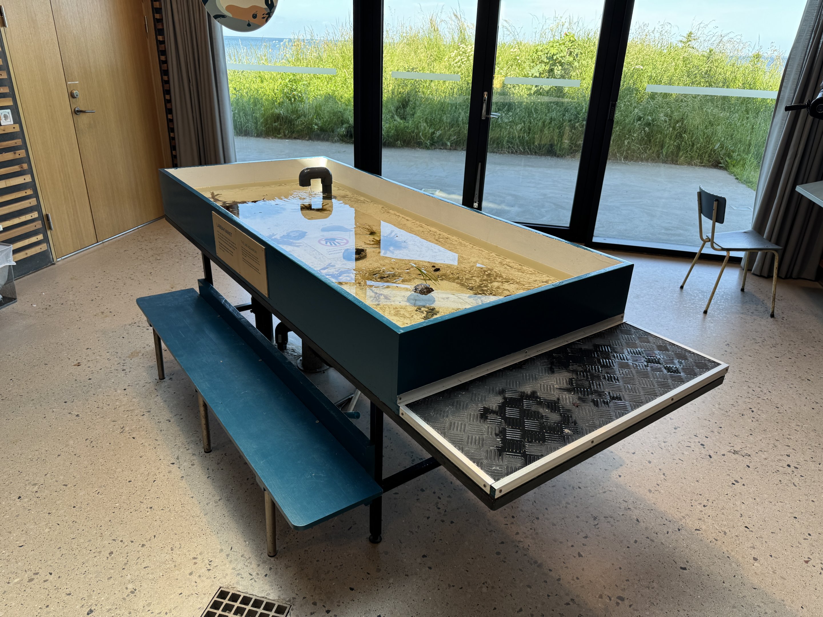 The lab aquarium (Naturum Östersund / Marine Education Center)