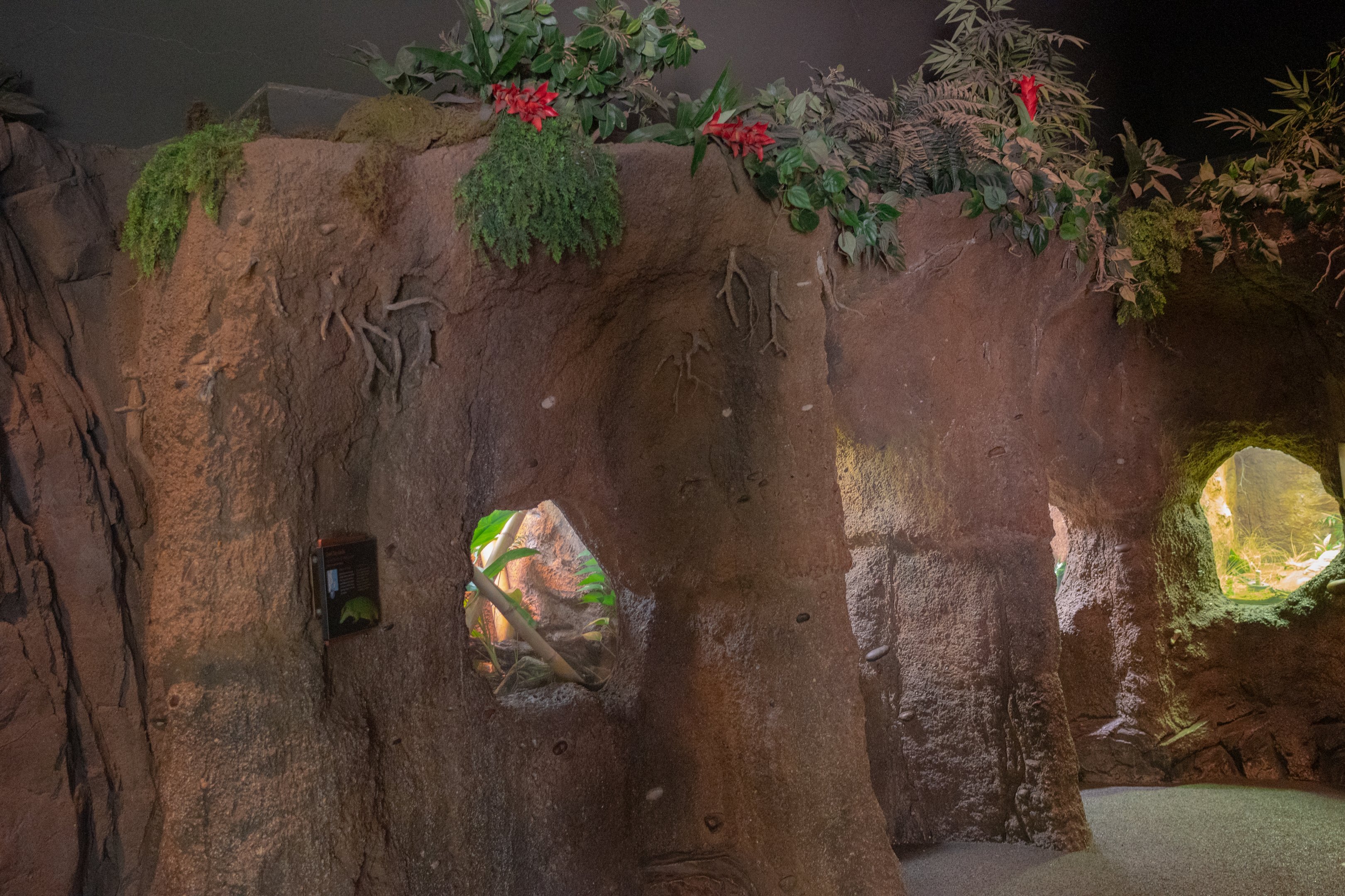 The LAIR entrance terrariums