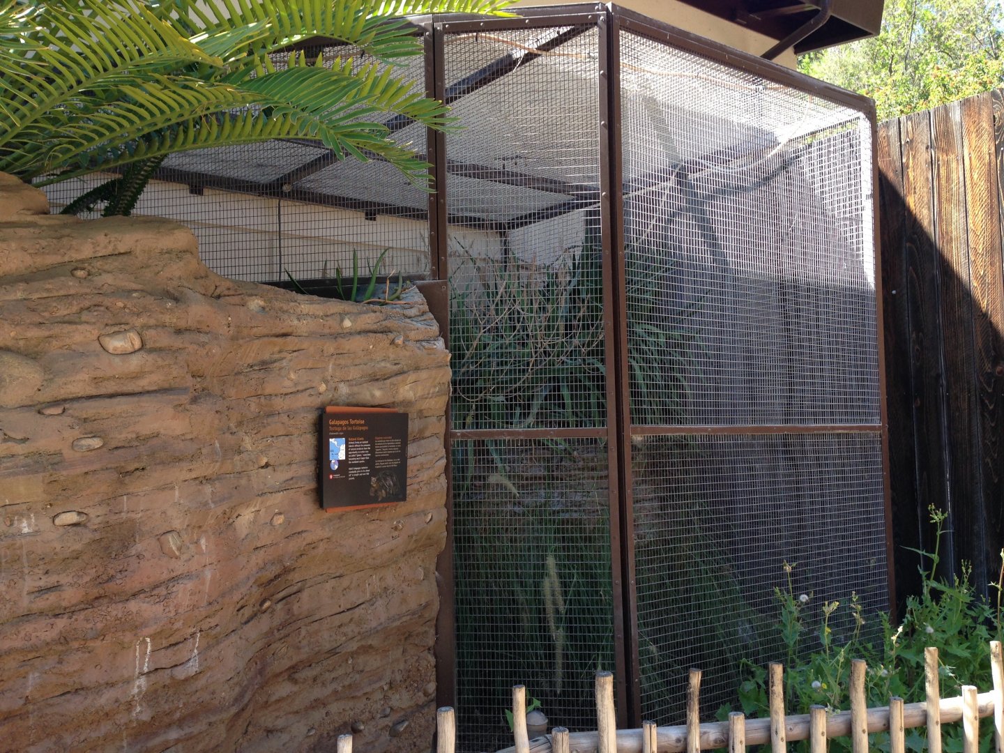 The Lair - Galapagos Tortoise Exhibit