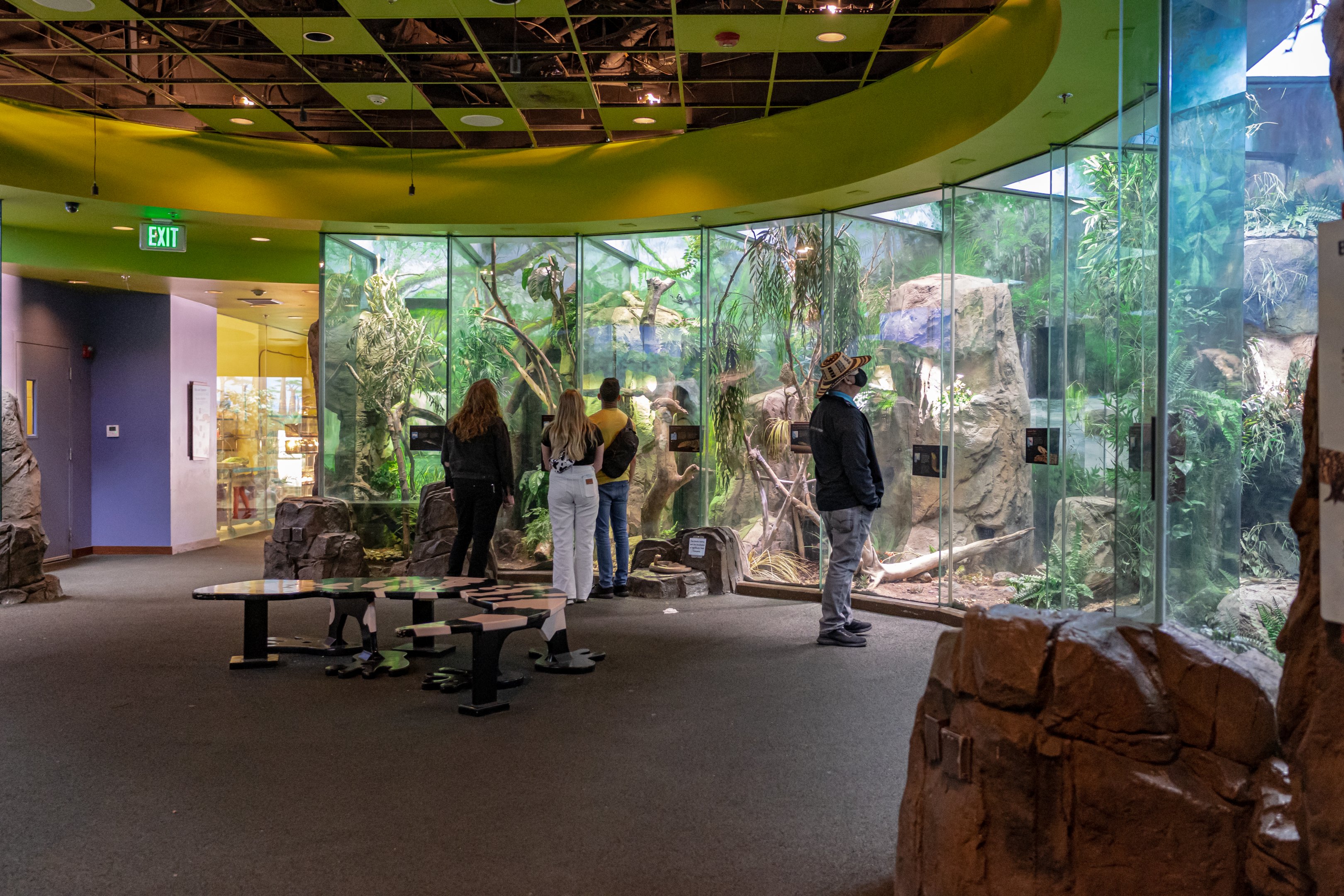 The LAIR tall terrariums