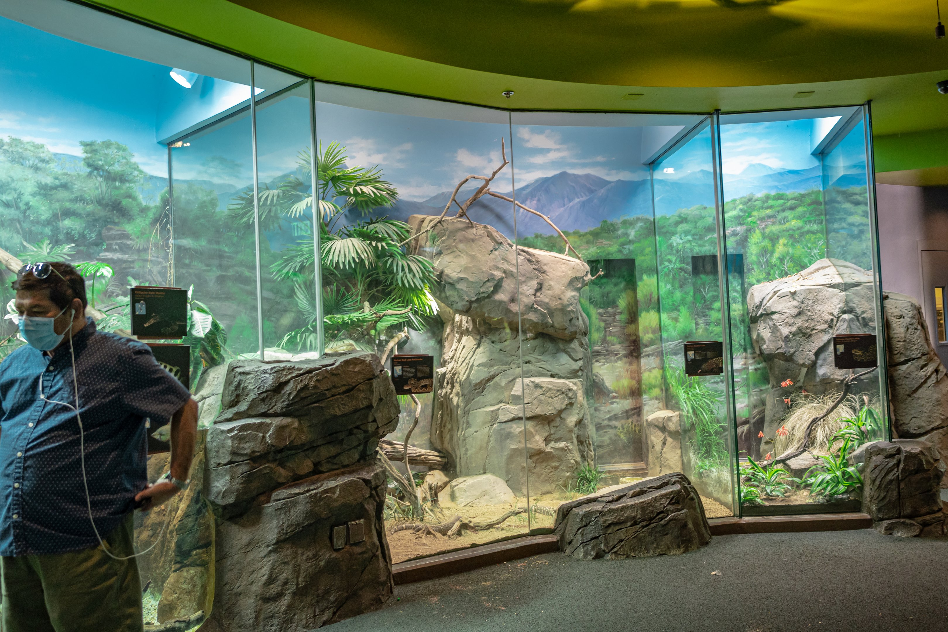 The LAIR tall terrariums