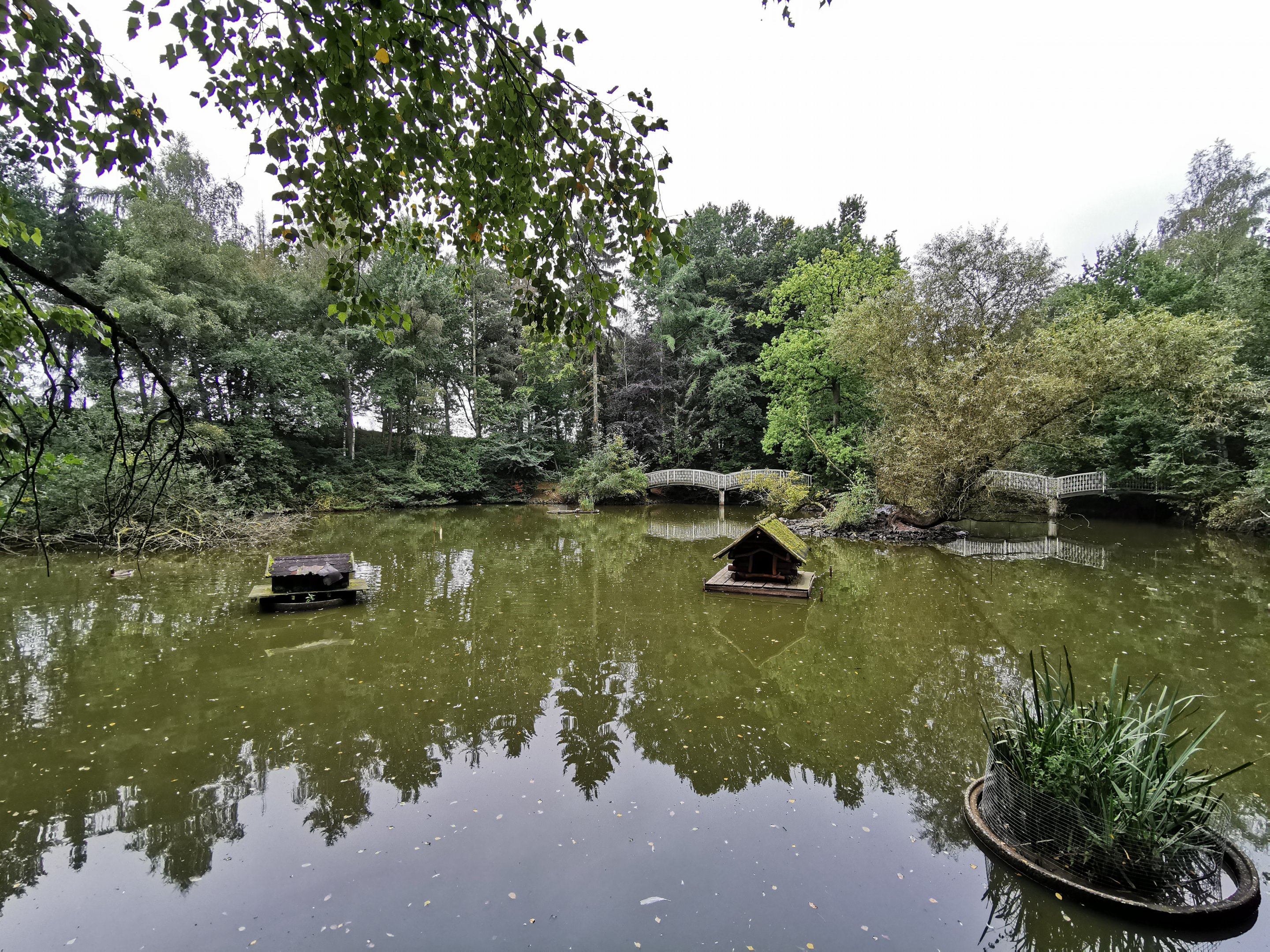 The lake/big pond close to the entrance