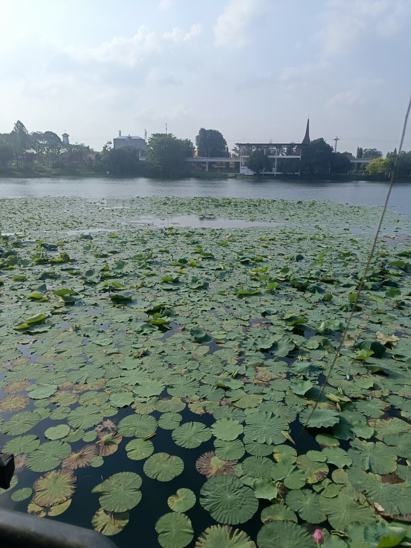 The lake outside Dunia Air Tawar's building